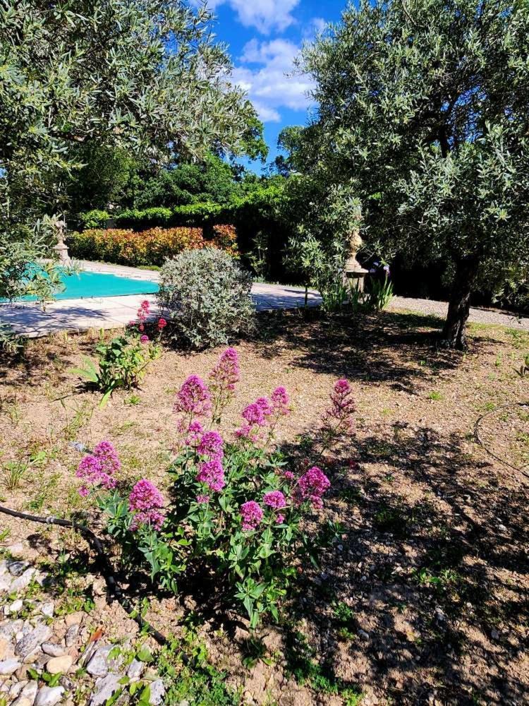 Le Clos Renaissance Oppede Luaran gambar